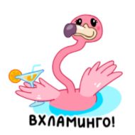 Стикер Пинки @FOXDIZIGNERLIFE - 11