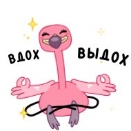 Стикер Пинки @FOXDIZIGNERLIFE - 7