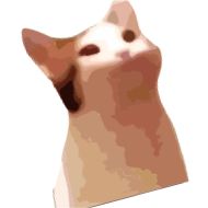 кошка животное млекопитающее