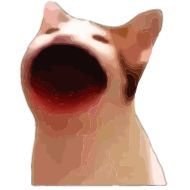 Стикер popping_cat_animated - 7