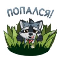 животное млекопитающее клипарт