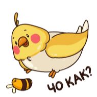 клипарт рисование фрукт