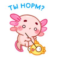 Sticker Руру - @TgSticker - 6