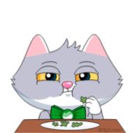 cat cartoon animated cartoon