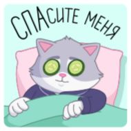 Стикер СберКот на чиле @TgSticker - 5
