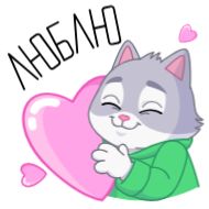 Стикер СберКот на чиле @TgSticker - 0