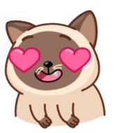 Sticker Сиамский кот (@TgSticker) - 6