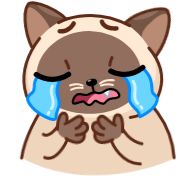 Sticker Сиамский кот (@TgSticker) - 5