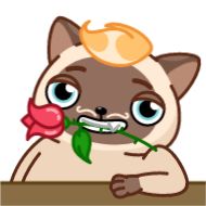 Sticker Сиамский кот (@TgSticker) - 3