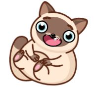 Sticker Сиамский кот (@TgSticker) - 1