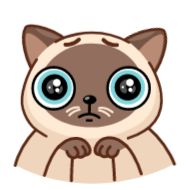 Sticker Сиамский кот (@TgSticker) - 0