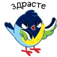 Стикер Синичка Паничка @TgSticker и @MoiStikiBot - 2