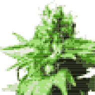 Стикер MJ @rutserv2 - 11