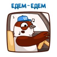 Стикер Воробушек Чирик :: @stickroom - 11