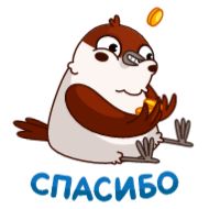 Стикер Воробушек Чирик :: @stickroom - 5