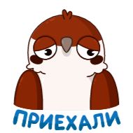 Стикер Воробушек Чирик :: @stickroom - 4