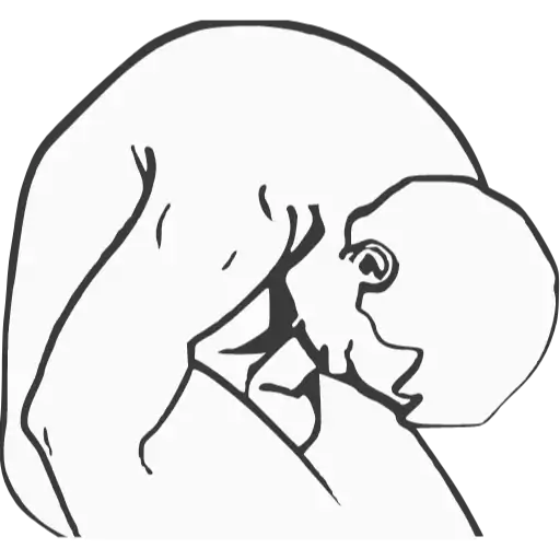 sketch line art linedrawing