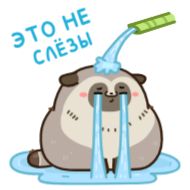 Sticker Создать стикеры @StickerEdit_bot - 6