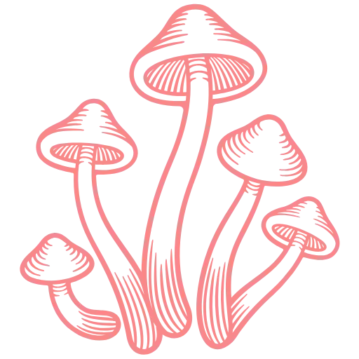 Стикер v627165789146941_by_StickerEdit_bot - 1