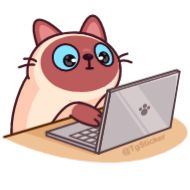 Стикер Котик Веня от @TgSticker - 9