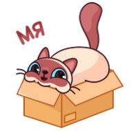 Стикер Котик Веня от @TgSticker - 8