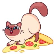 Стикер Котик Веня от @TgSticker - 6