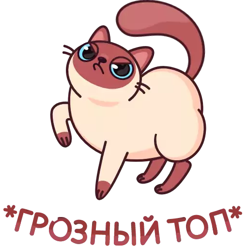 Sticker venyacat_vk - 1