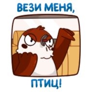 Стикер Воробушек Чирик @TgSticker - 4