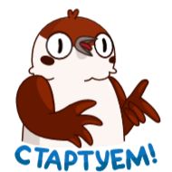 Стикер Воробушек Чирик @TgSticker - 0