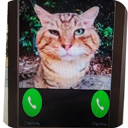 Sticker AAAAATUDESYAT - 1