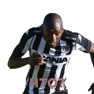 Sticker ALLEZ LE SCO @Scoangers @TgEmodziBot - 3