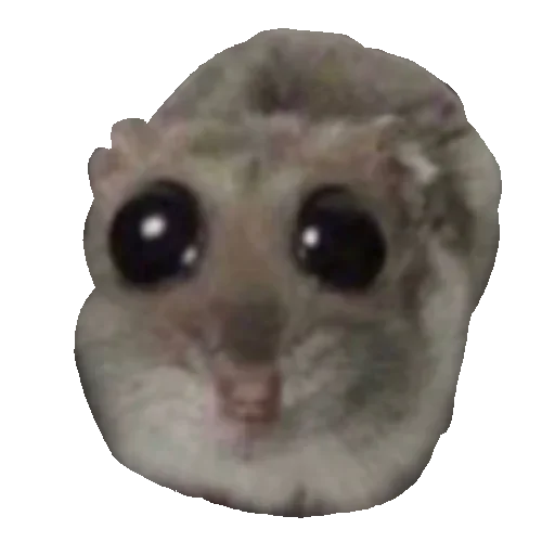 Mymem • @sticbot - 