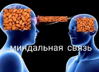 Sticker Mymem • @sticbot - 6