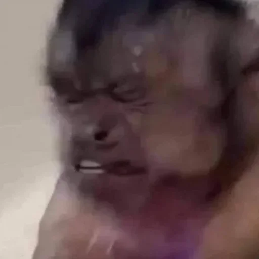 Стикер ARYANWISDOM - 1