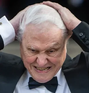 Sticker ANCIENT ARYAN RVNES @vremyanegrov - 11