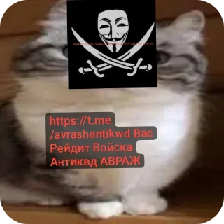 Sticker АВРАЖ РЕЙДЕРЫ - 3