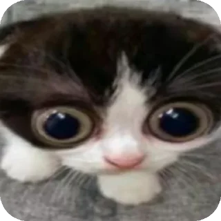 Стикер Лютейшая дичь придуманая и созданая под пельменями - 8