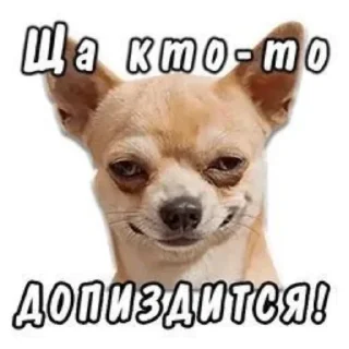 Sticker ЭРДЭМ - 10