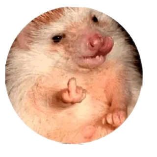 Sticker ЭРДЭМ - 6