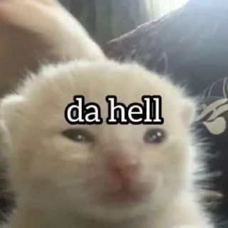 Sticker Tmtm 🎀 - 2