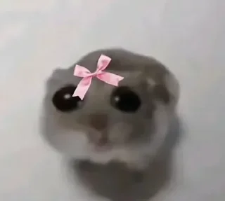 Sticker Tmtm 🎀 - 6