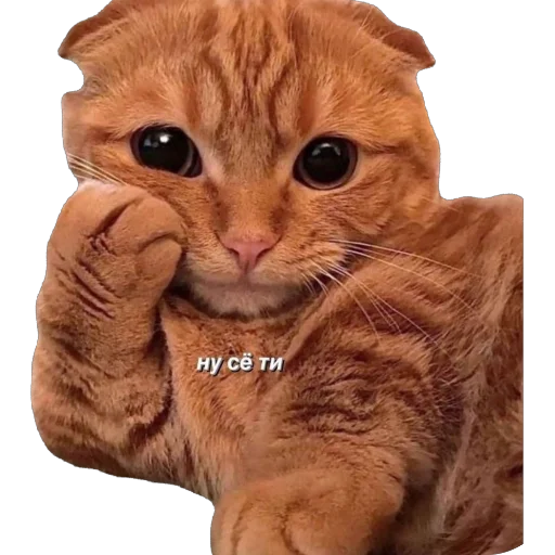 Sticker Agara_gudzhu - 1