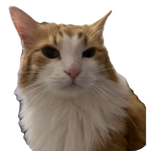 Sticker Agara_gudzhu - 1