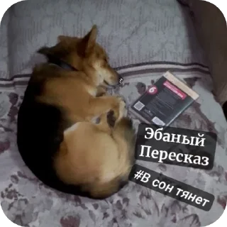 Sticker Мда...Рексик❤️‍🔥 - 1