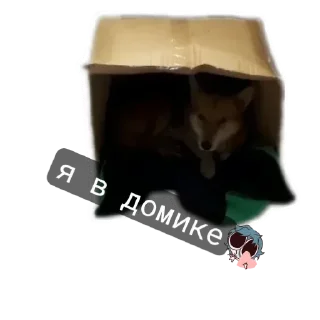 Sticker Мда...Рексик❤️‍🔥 - 4