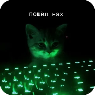 Sticker Альберт Алексеевич 😎 - 11