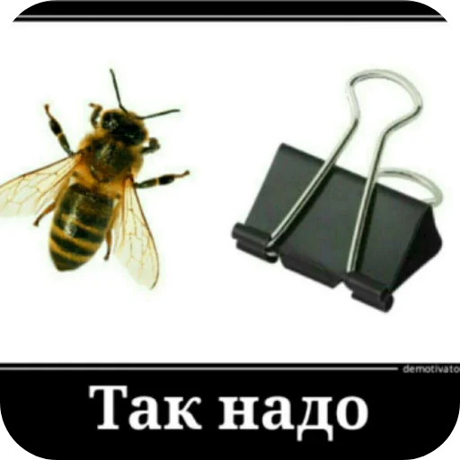 Sticker AleksejStremyanka - 1