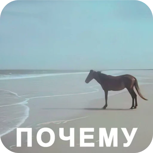 Sticker AleksejStremyanka - 1