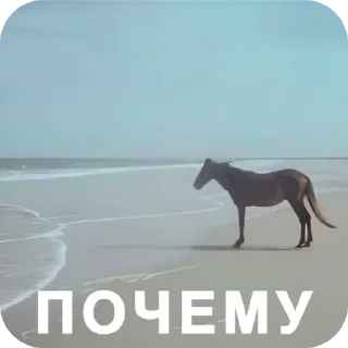 Sticker Алексей стремянка - 5