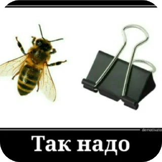 Sticker Алексей стремянка - 6